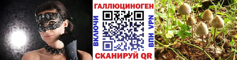 Галлюциногенные грибы мухоморы  цена   Устюжна 